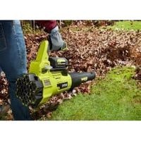 ryobi leaf blower won't start (3)