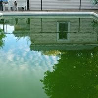 algae from pool without a vacuum