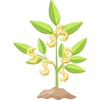how to braid a money tree