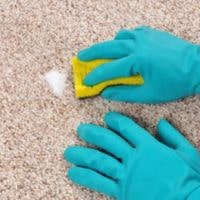how to get soda out of carpet4