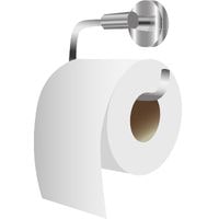 how to remove toilet paper holder