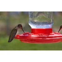 how to keep wasps away from hummingbird feeders 2022