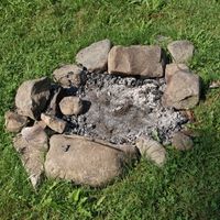 what to do with fire pit ashes