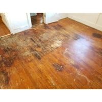 how to fix water damaged swollen wood floor 2022