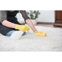 how to get the smell of vinegar out of carpet