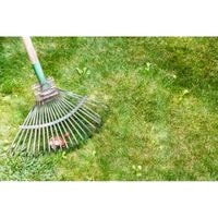 remove stickers with a rake