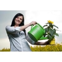 sunflower watering tips