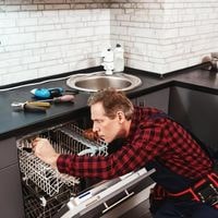 why bosch dishwasher making noise