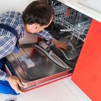 why electrolux dishwasher not draining
