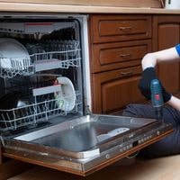 why lg dishwasher leaking